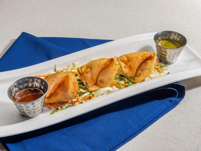 Vegetable Samosa